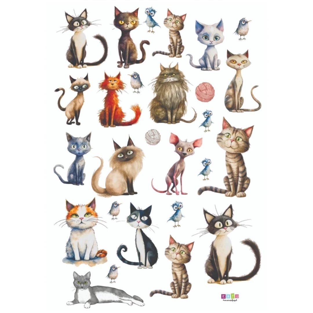 tag-a4-en-papel-vegetal-katu-gatos-7922