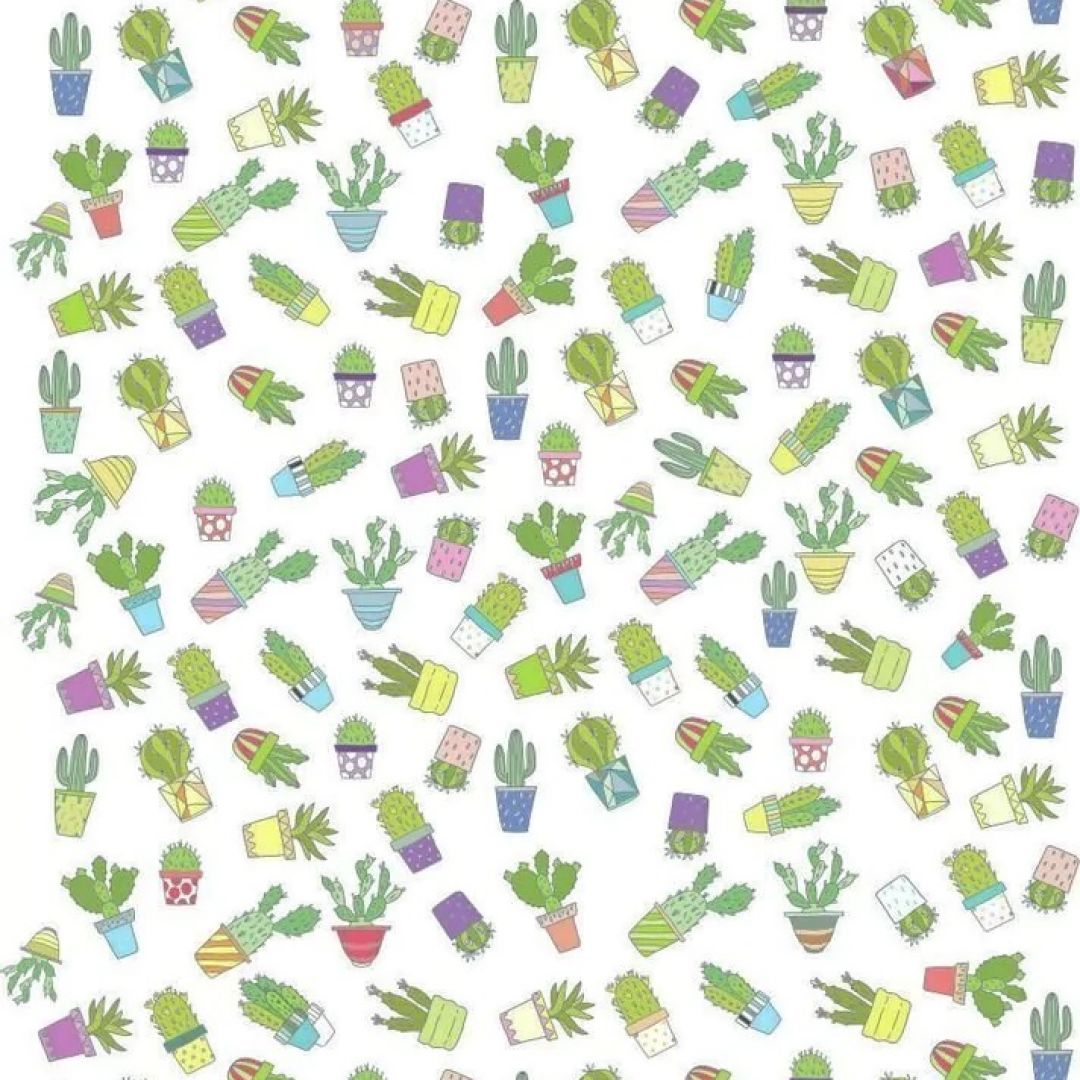 papel-para-encuadernar-katu-cactus-color-7965