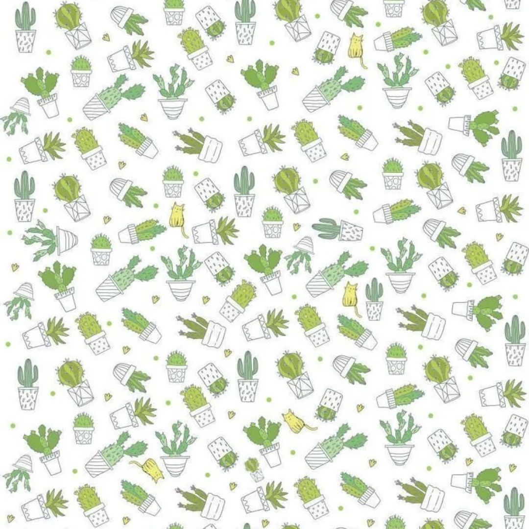 papel-para-encuadernar-katu-cactus-7966