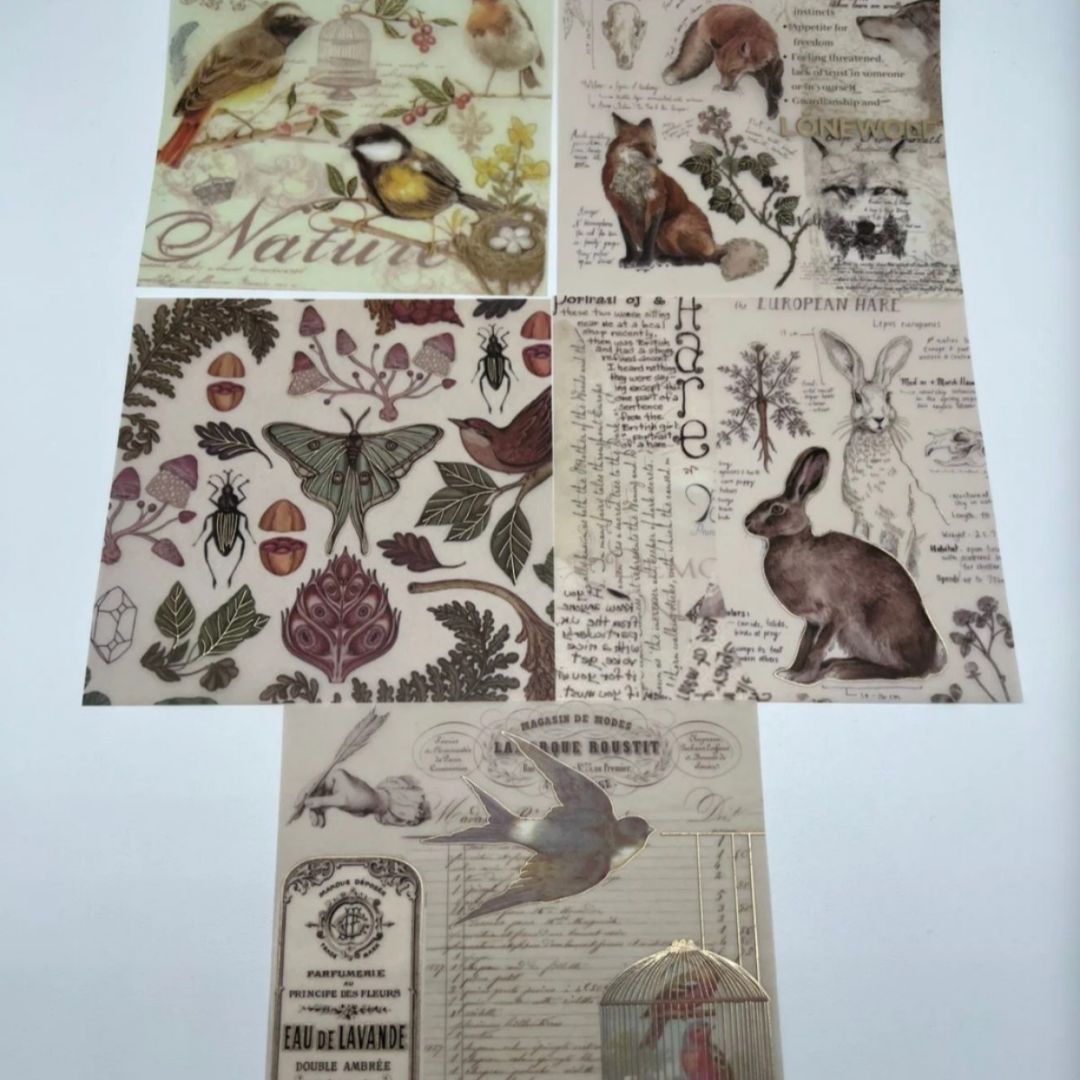 kit-scrap-vintage-bellum-stickerfoil-9566